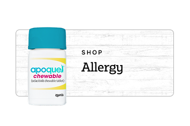 Shop by Allergy